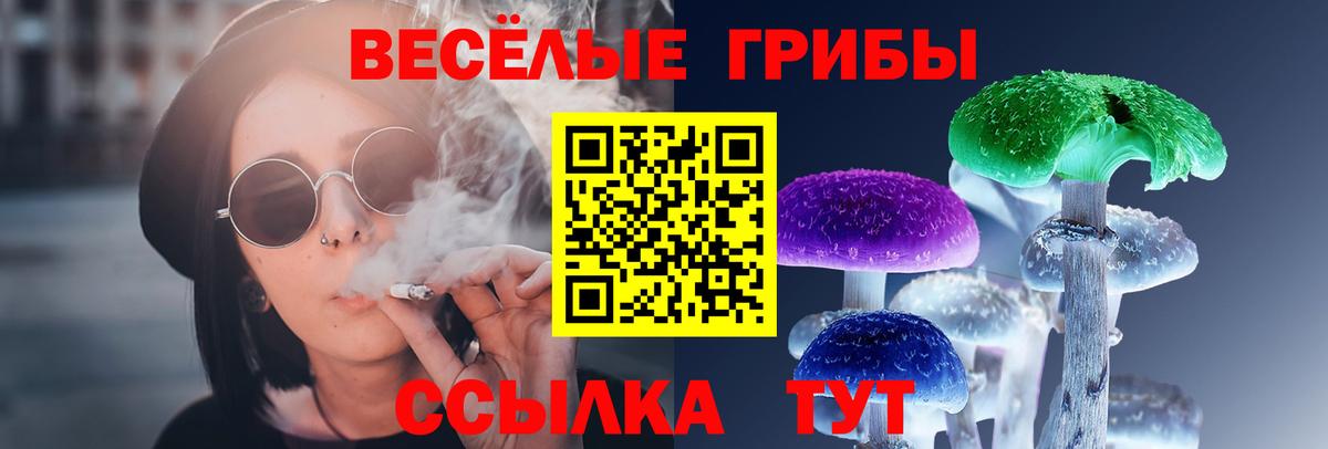 Галлюциногенные грибы Psilocybe  Вход с VPN  Камень-на-Оби 